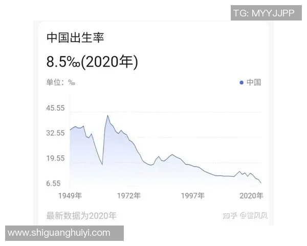 成都排球队实力飙升再创佳绩引发全国关注与期待