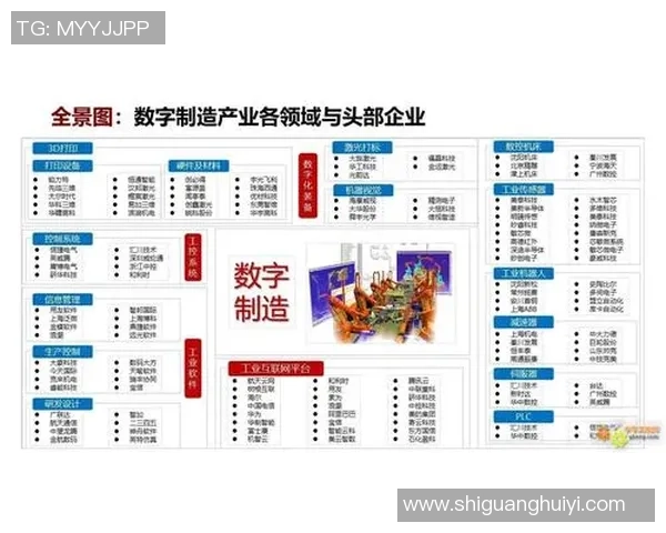 杭州乒乓球队转型之路解析与未来发展展望