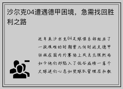 沙尔克04遭遇德甲困境，急需找回胜利之路